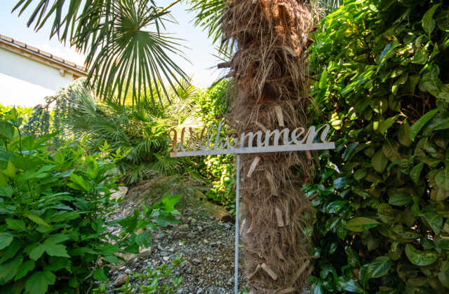 Oase im Tessin